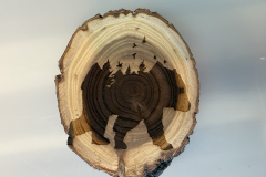 Wood Engraving Bear